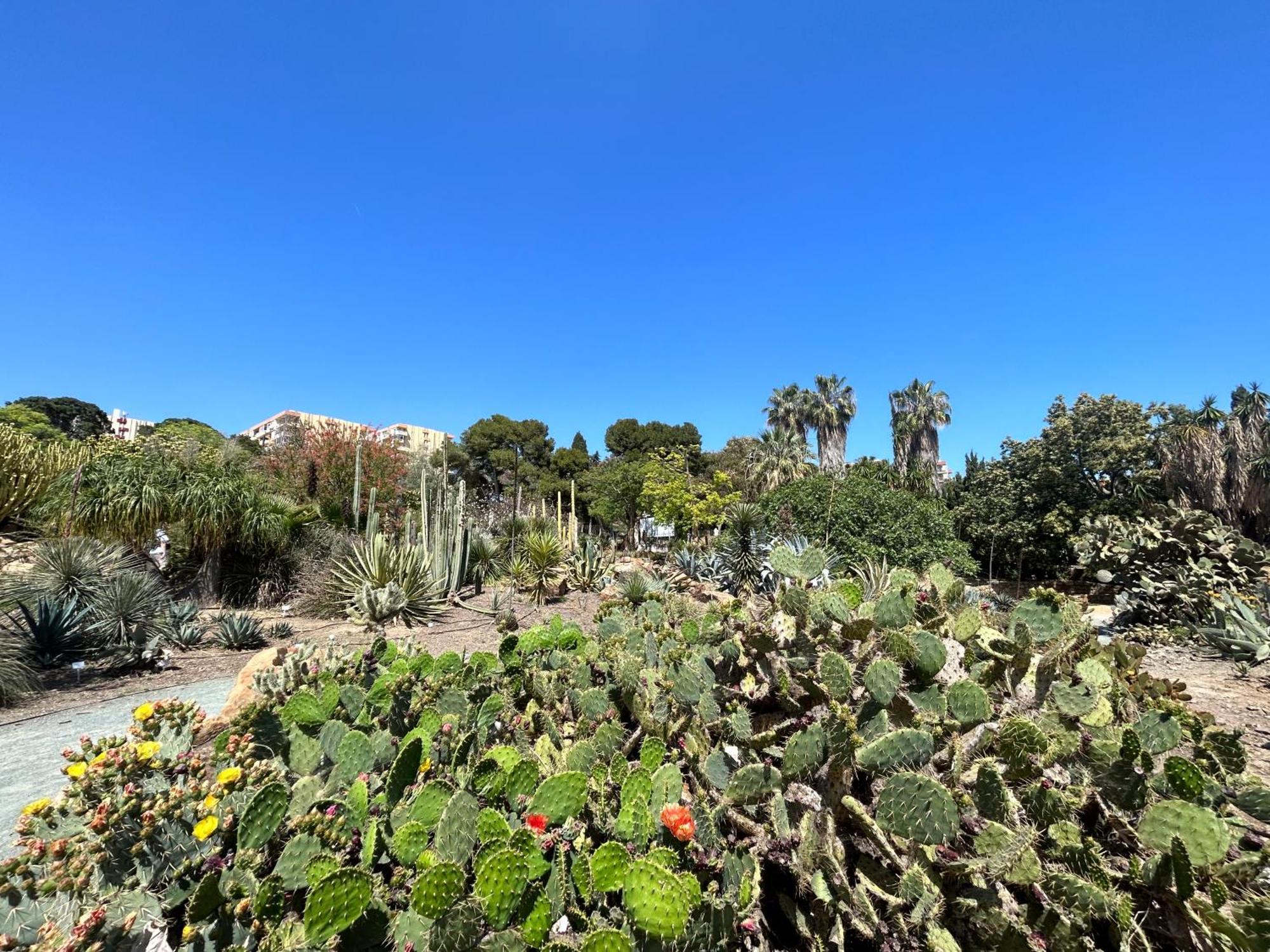 Acogedor Apartamento En Benalmadena Vistas 外观 照片